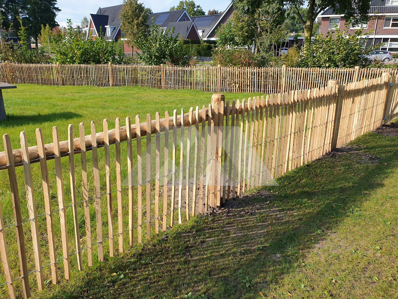 Robinia schapenhek kopen