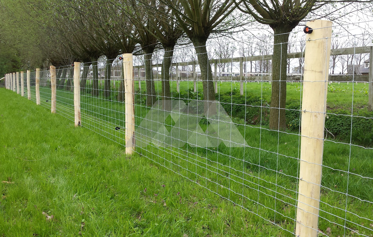 Robinia palen met Schapengaas 100 cm