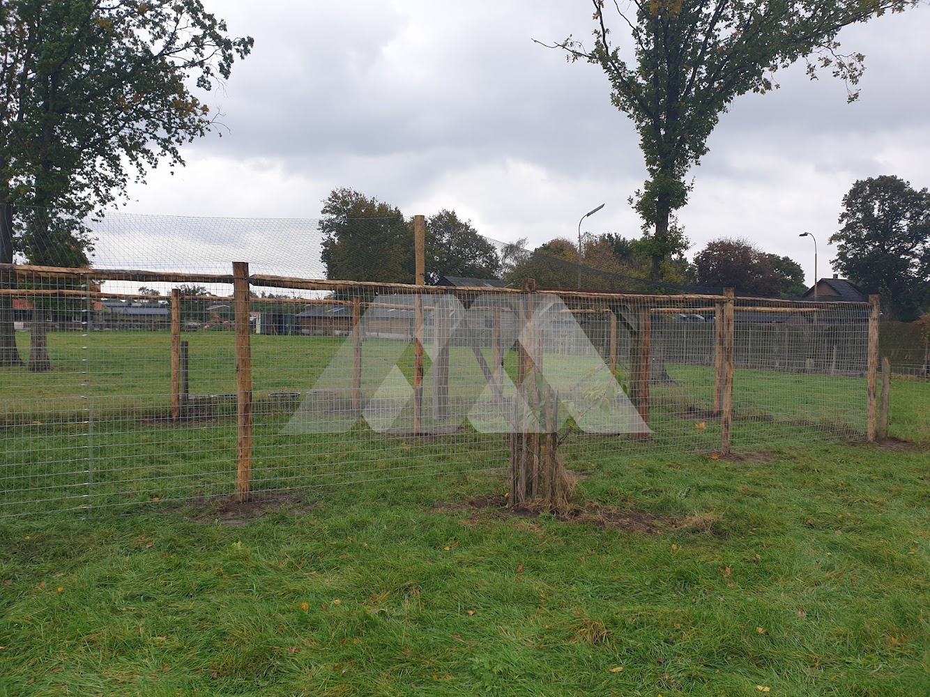 Robinia palen ø 10-12cm 1 ligger systeem met gaas van 5x10cm (pauwenkooi)