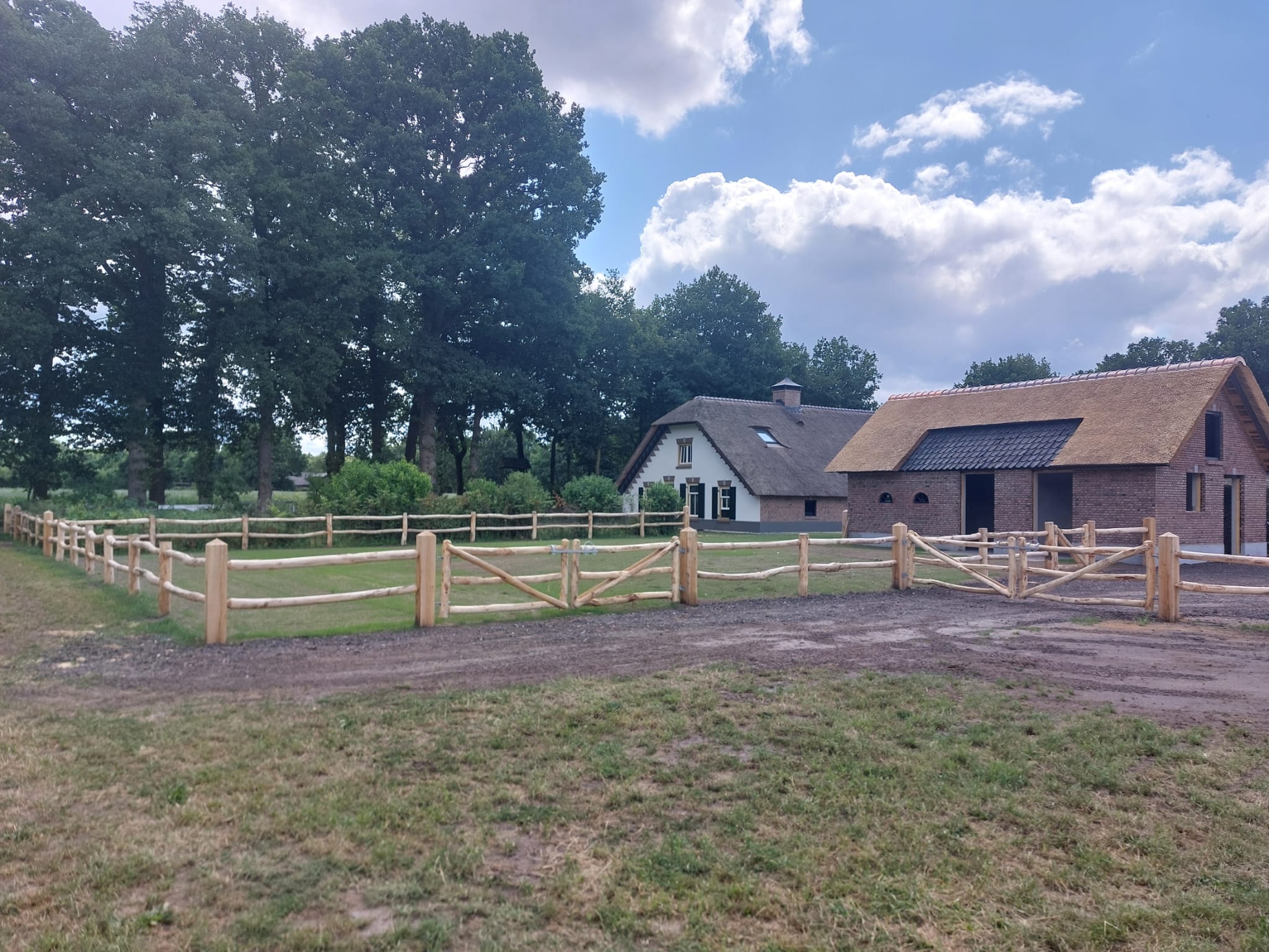 Robinia dubbele poort - Afbeelding 4